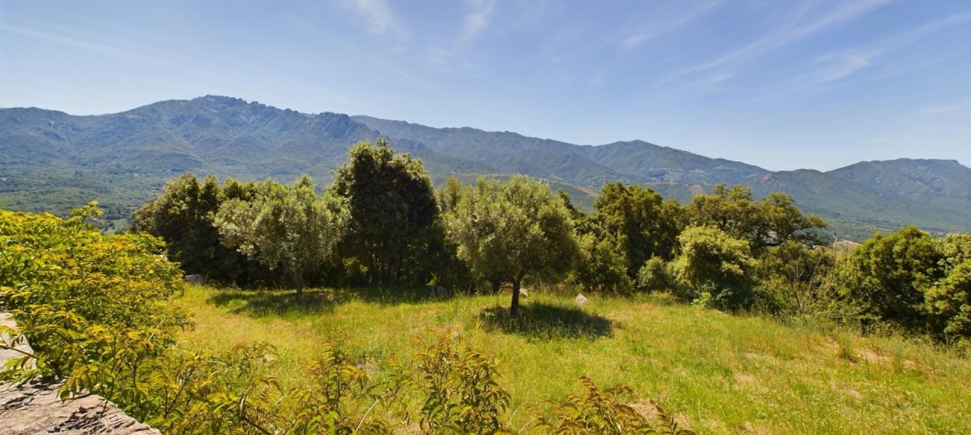 Maison en pierre à vendre à Tavaco près d'Ajaccio