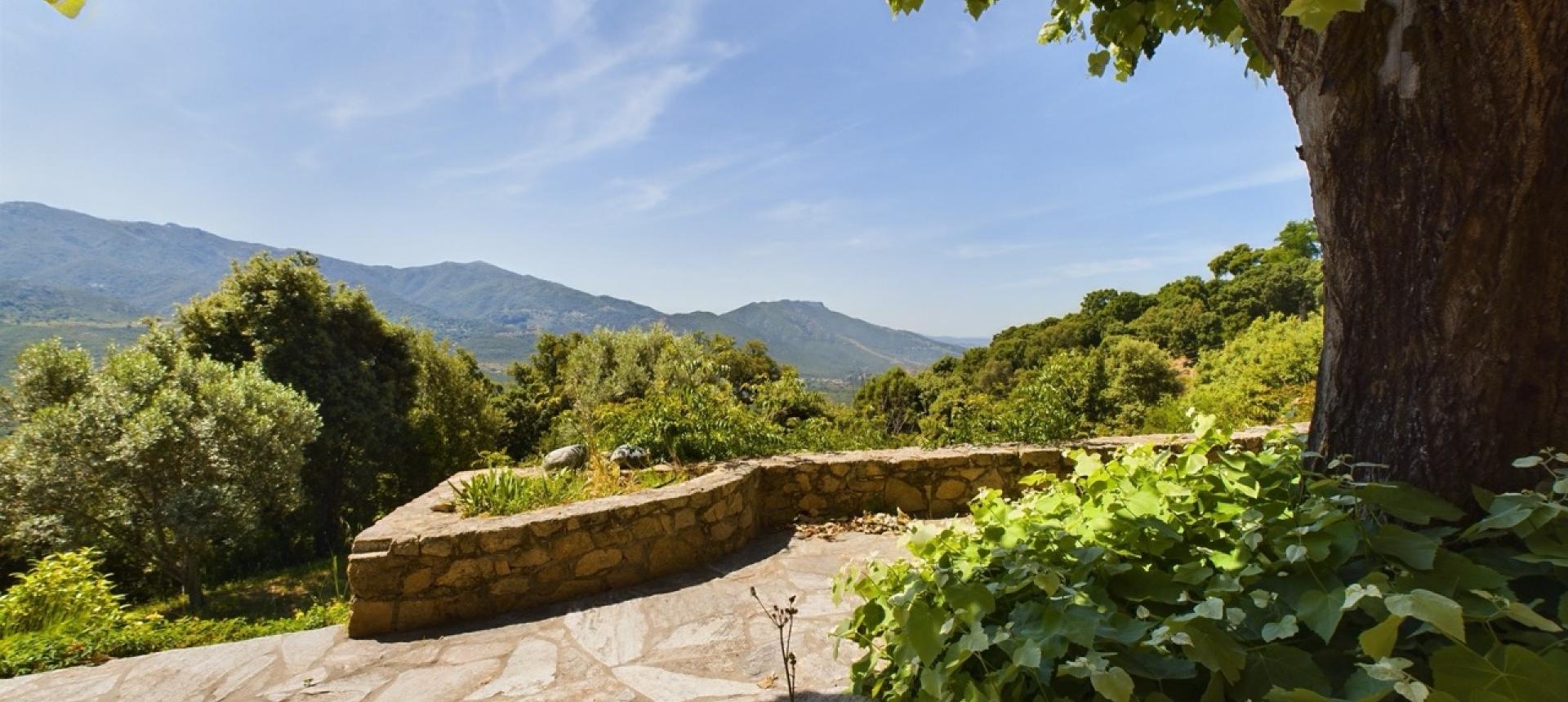 Maison en pierre à vendre à Tavaco près d'Ajaccio