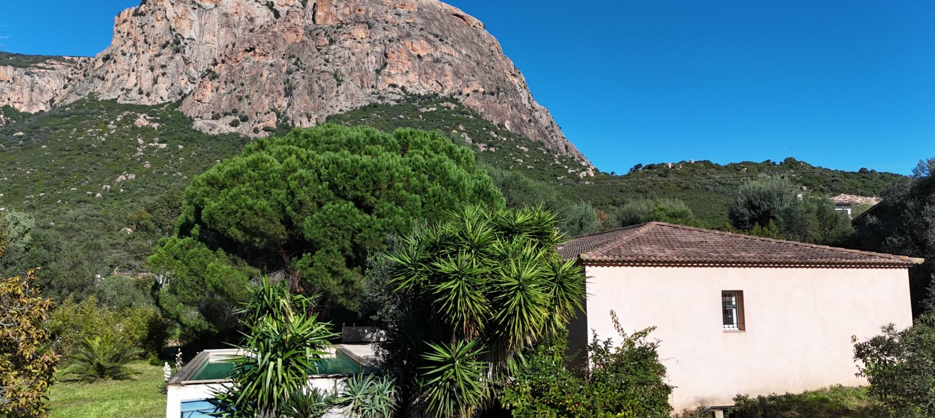 Maison F4 avec piscine à vendre à Afa - A Radica