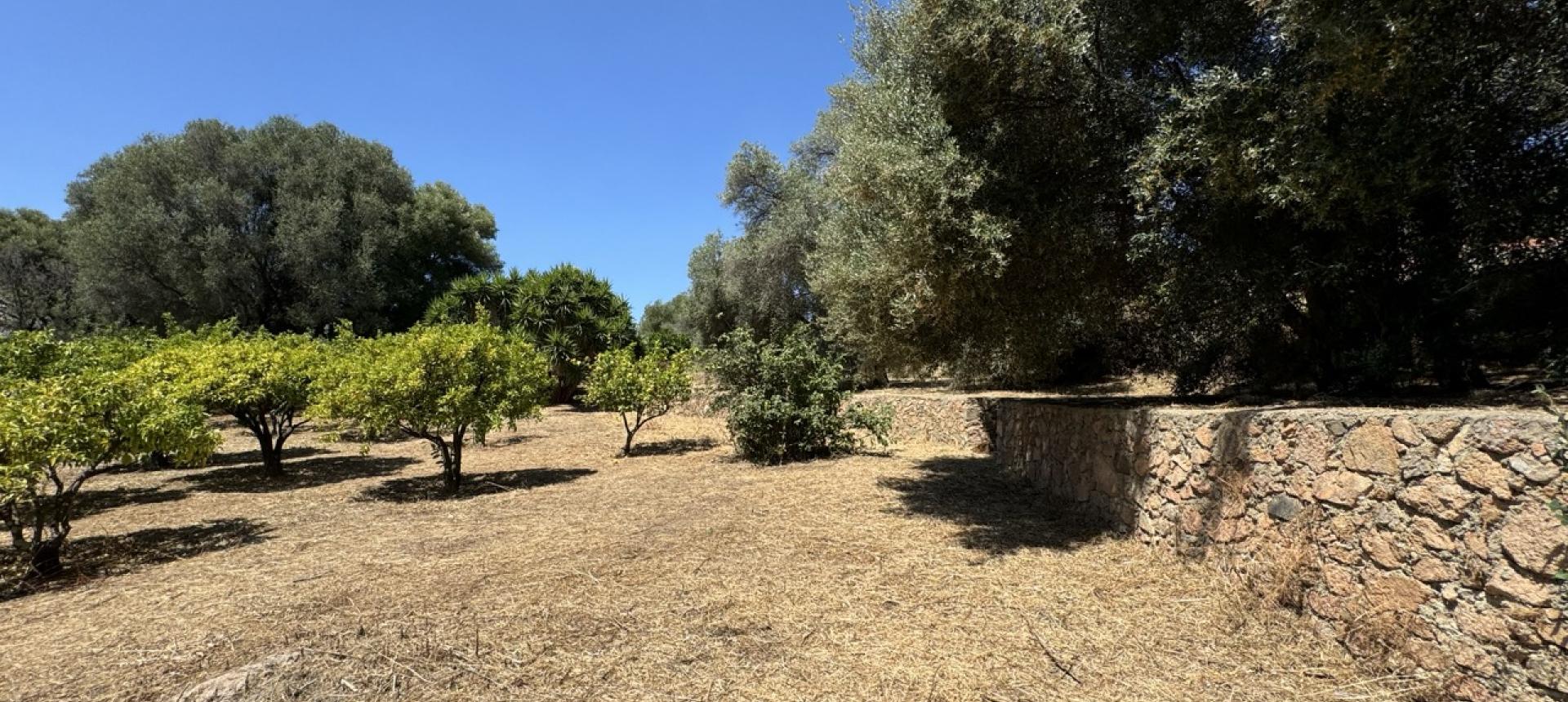 Villa F5 à vendre à Bastelicaccia, près d'Ajaccio